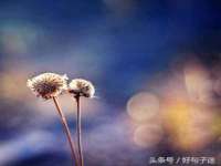 苏州墨哲根商贸有限公司