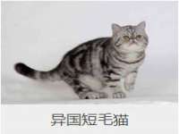 苏州墨哲根商贸有限公司