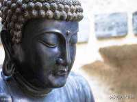 苏州墨哲根商贸有限公司