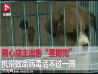 苏州墨哲根商贸有限公司