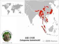 苏州墨哲根商贸有限公司