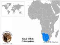 苏州墨哲根商贸有限公司