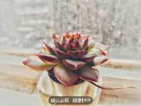 苏州墨哲根商贸有限公司
