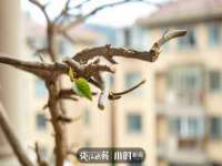 苏州墨哲根商贸有限公司