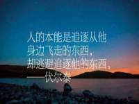 苏州墨哲根商贸有限公司