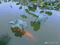 苏州墨哲根商贸有限公司