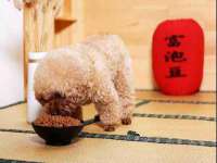 苏州墨哲根商贸有限公司