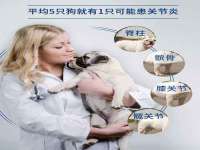 苏州墨哲根商贸有限公司
